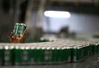 Gara-gara Bea Impor Trump, Industri Bir AS PHK 40.000 Orang