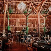 Pernikahan unik itu mengambil tempat di The Landings 1841 di Burlington. Lokasi pernikahan tampak sesuai dengan tema pesta yang seperti hutan hijau. Foto: Dok. Cassandra Spiegelhoff Photography