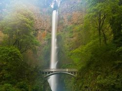 Karya Jawara Kontes Foto Jembatan Bikin Mata Terpukau