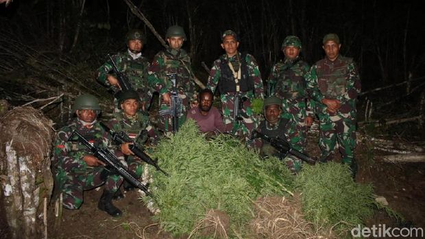 Polisi dan TNI Tangkap Bandar Ganja Beratribut OPM di Wamena
