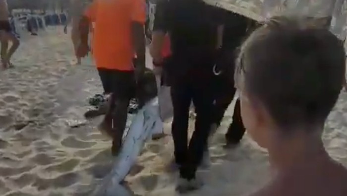 Seekor Hiu Bikin Panik Turis di Pantai Mallorca Spanyol