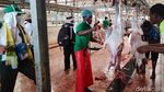 Potret Pasar Kakiyah Mekah, Tempat Berburu Kambing untuk Bayar Dam