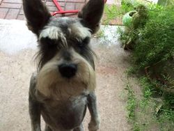 Jepretan Gemas Saat Hewan-hewan Marah