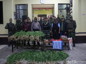 Polisi dan TNI Tangkap Bandar Ganja Beratribut OPM di Wamena