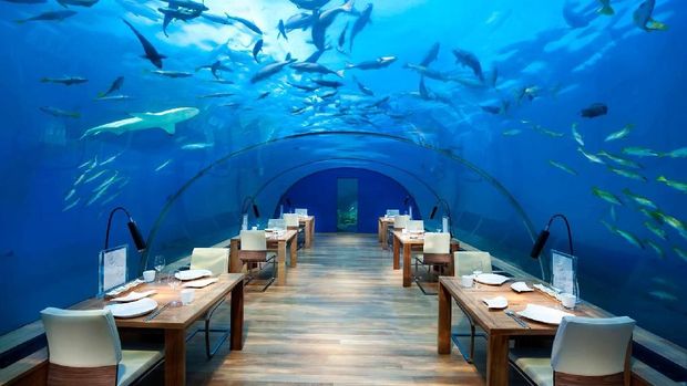 hotel aquarium(www.conradmaldives.com)