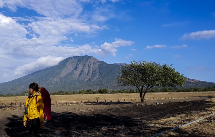 Banyuwangi memiliki tempat wisata eksotis bernama Taman Nasional Baluran. Taman nasional ini menawarkan kehidupan alam yang bebas layaknya di Afrika. Penasaran?