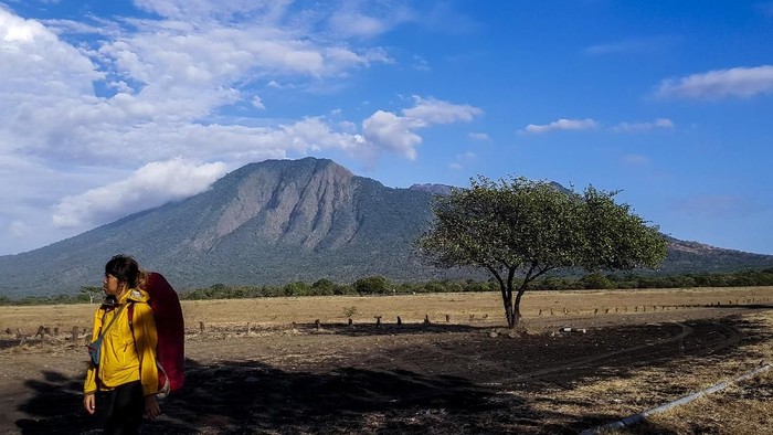 Banyuwangi memiliki tempat wisata eksotis bernama Taman Nasional Baluran. Taman nasional ini menawarkan kehidupan alam yang bebas layaknya di Afrika. Penasaran?