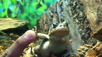 Tetap tos meski sedang kesal. (Foto: Boredpanda)