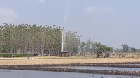 Dirinya memompa air untuk mengairi sawah yang akan dibajak untuk ditanami padi. Namun air yang menyembur diluar kewajaran dan dirinya segera mematikan mesin. Namun air tetap keluar menyembur semakin tinggi mencapai 10 hingga 30 meter.