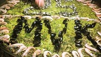 Lihat nih, Paella yang disajikan untuk Vinales porsinya sangat besar. Dengan tulisan 25 dan inisial namanya MVK. Pesta makan nih! Foto: Instagram @maverickvinales25