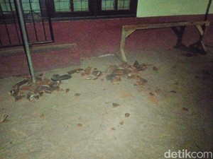 14 Kali Gempa Susulan Terjadi Usai Gempa 7 SR di Lombok