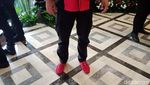 Gaya Merah-merah Caleg PDIP: Kapitra, Johan Budi hingga Angel Karamoy