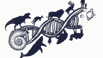 Sedangkan laporan dari Australia National University menyebut jika alien tak cukup cepat dalam berevolusi sehingga punah. Foto: Science Briefss