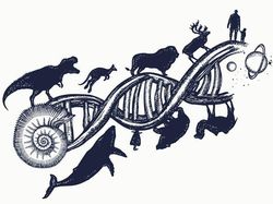 Mengapa Alien Belum Ditemukan? Ini Deretan Teorinya