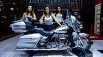 Moge Harley Rp 2 Miliar