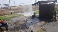 Lokasi semburan berasal dari sumur pompa air di sawah milik Mujianto (45), warga Desa Planglor Dukuh Tambakselo selatan, Kecamatan Kedunggalar.