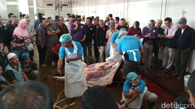 720 Koleksi Gambar Cara Menyembelih Hewan Kurban HD Terbaru