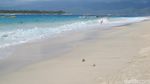Foto: Indahnya Gili Trawangan Sebelum Terkena Gempa