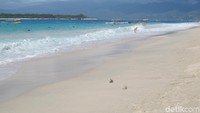 Gili Trawangan sejatinya merupakan destinasi wisata terkenal di Lombok, NTB. Pesisir pantainya sangat indah (Afif Farhan/detikTravel)