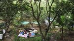 Takut Gempa Susulan, Warga Lombok Mengungsi ke Pematang Sawah