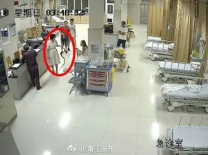 Bikin Heboh! Wanita Ini Bawa Ular yang Menggigitnya ke Rumah Sakit
