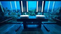 Dinding kaca yang ada membuat kita bisa melihat keluar langsung karang warna-warni, sekaligus menonton ratusan ikan tropis yang tengah lewat bergerombol bahkan hingga hiu. Istimewa/Conrad Hotels & Resorts.