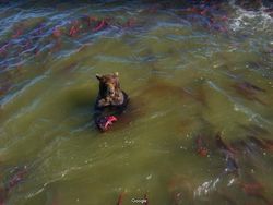 13 Momen Aneh yang Tertangkap Google Street View