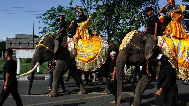 Gajah di Pekan Kebudayaan Aceh 7 (Agus Setyadi/detikTravel) Gajah di Pekan Kebudayaan Aceh 7 (Agus Setyadi/detikTravel)