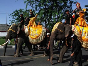 Aksi 4 Ekor Gajah di Pekan Kebudayaan Aceh