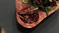Bukan irisan daging sapi atau tumisan daging ayam, tapi sepiring salad segar ini disajikan dengan tumisan serangga hingga belatung. Hii.. berani mencoba? Foto: Archipelago London