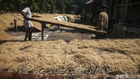 Pabrik Mie Lethek ini beroperasi penuh saat kondisi cuaca cerah karena salah satu proses produksinya menggunakan bantuan tenaga matahari untuk penjemuran.