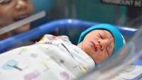 Wajahnya sangat munggil dan lucu. Foto: Dok. Instagram/zeezeeshahab