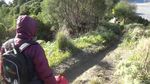 Foto: Embun Es di Gunung Bromo