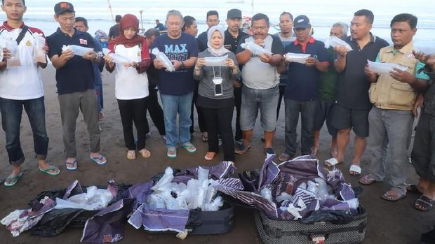 30 Ribu Benih Lobster Selundupan Dilepas Kembali