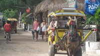 Selain sepeda, juga ada cidomo yang seperti delman (Afif Farhan/detikTravel)