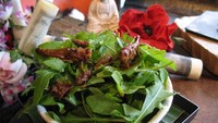 Salad jangkrik yang satu ini, jadi menu andalan dan yang paling populer dari restoran Archipelago. Jangkrik sengaja digoreng dalam bentuk utuh, dilapisi bumbu hingga garing. Foto: Archipelago London