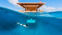 Dinamakan Muraka, kamar hotel bawah laut ini dibangun dengan struktur dua tingkat. Mengambang di atas air adalah ruang tamu, kamar tidur, kamar mandi kaca dengan bak berbentuk telur yang menghadap ke laut, dapur, bar, hingga gym. Istimewa/The Manta Resort.