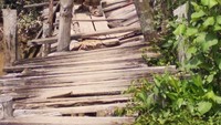 Jembatan dari kayu ini menghubungkan antara RT di desa tersebut. 