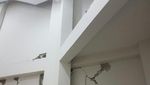 Penampakan Masjid Islamic Center NTB Pasca Diguncang Gempa