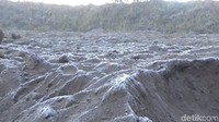 Kaldera lautan pasir Gunung Bromo terlihat seperti dipenuhi kristal/Foto: M Rofiq