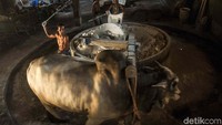 Satu hal yang unik, penggilingan bahan baku utama berupa gaplek (olahan singkong) dan tepung tapioka masih menggunakan tenaga seekor sapi jantan.