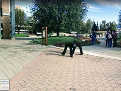 13 Momen Aneh yang Tertangkap Google Street View