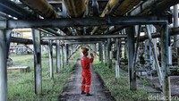 Saat ini Blok Sanga-Sanga merupakan salah satu dari 12 blok yang menjadi kontributor utama dalam produksi dan lifting nasional.