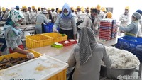 Dapur tenaga kerja lokal didominasi oleh para koki yang menggunakan jilbab.