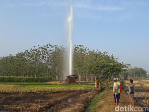 Sempat Berhenti, Semburan Air Berpasir di Ngawi Makin Kuat