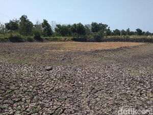 Embung Kering Saat Kemarau, Petani Desa di Semarang Ini Merantau