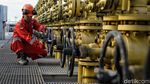 Mengintip Blok Sanga-Sanga yang Kini Milik Pertamina