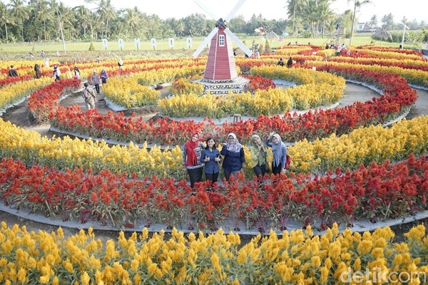  Taman Bunga Magelang  Ala Keukenhof