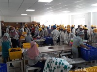 Fakta-Fakta Serbuan TKA China di Morowali