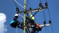 PLN fokus untuk memperbaiki jaringan distribusi 20 kV dan memulihkan listrik pada fasilitas layanan publik seperti rumah sakit, tempat penampungan pengungsi, instalasi air bersih dan kantor pemerintahan daerah setempat. Istimewa/Dok. PT PLN (Persero).